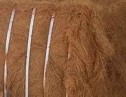 Coir Fiber