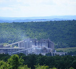 Environment Authorities 
