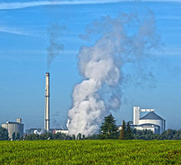 Sugar Industry